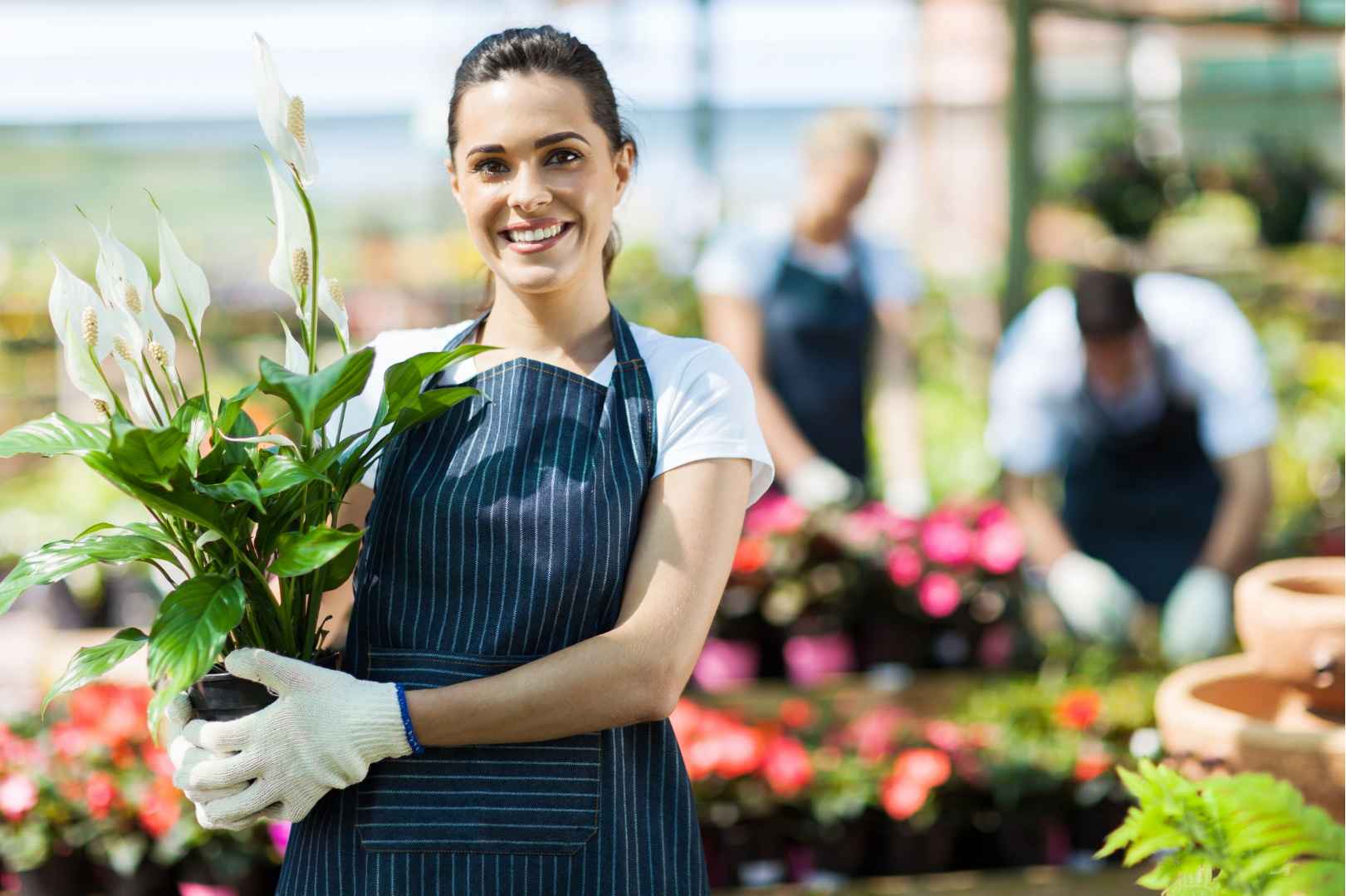 Tips para emprendedores - artículo de GuruSoft