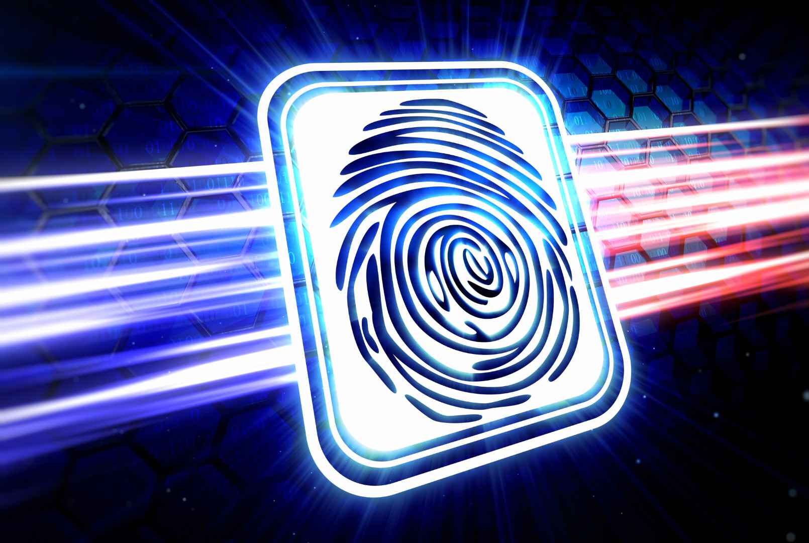 ¿Qué es el RUT? - artículo de GuruSoft