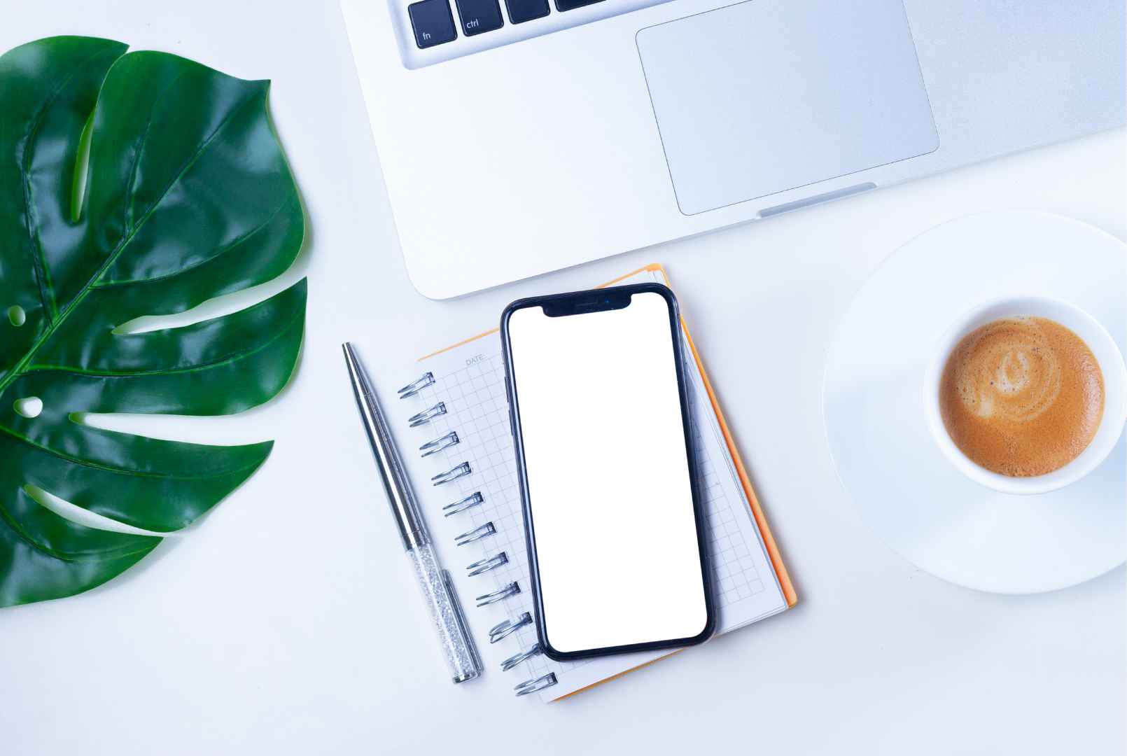 El nuevo iPhone de bajo costo de Apple - artículo de GuruSoft