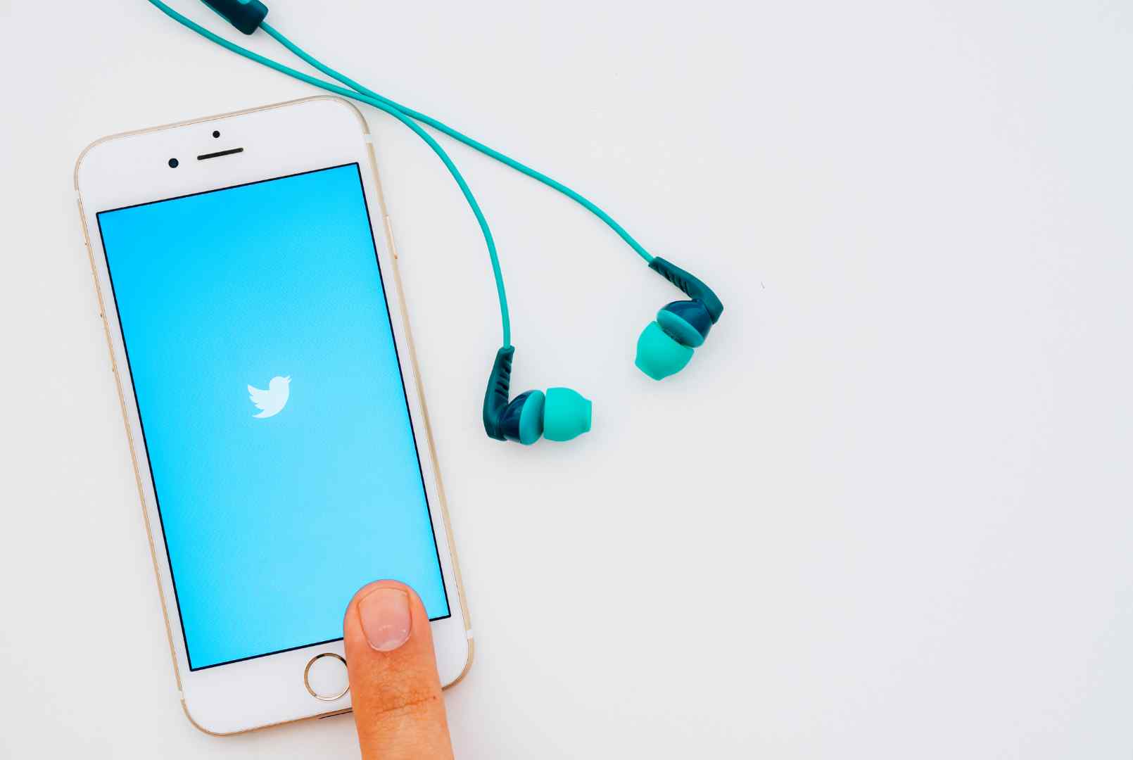 Twitter aceptó la oferta de Elon Musk - artículo de GuruSoft