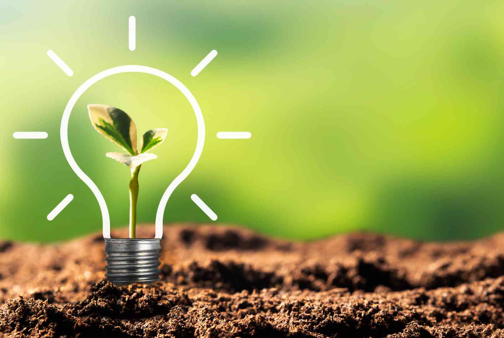 Cuidar el medio ambiente: una gran responsabilidad empresarial - artículo de GuruSoft