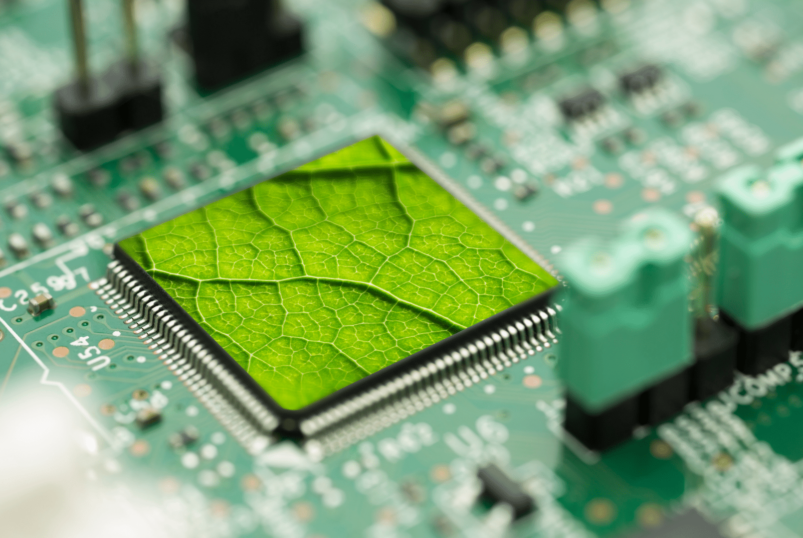 La tecnología verde, una opción para tu emprendimiento - artículo de GuruSoft
