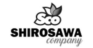 Shirosawa para paraguay