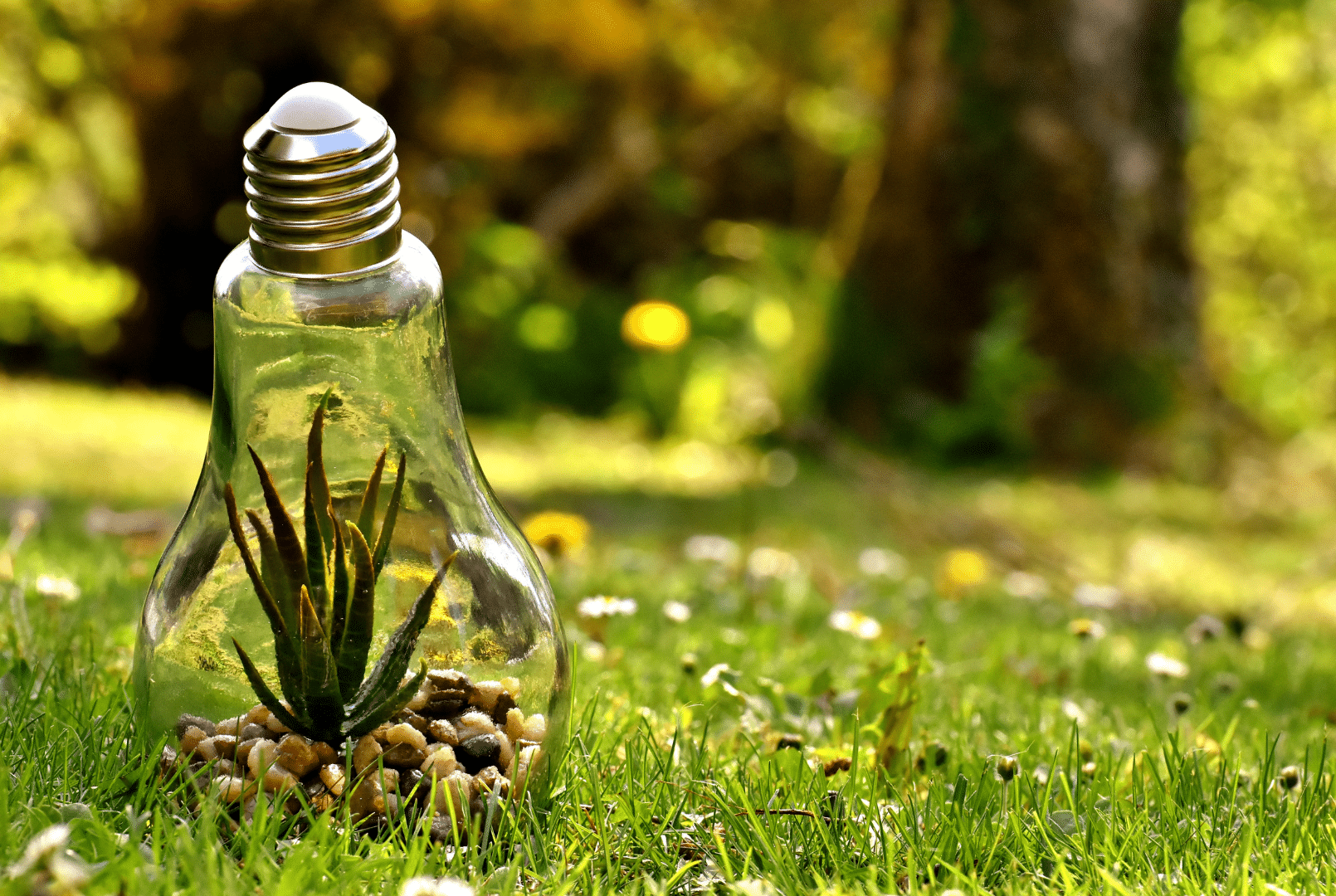 Podemos cuidar el medioambiente desde nuestro negocio - artículo de GuruSoft
