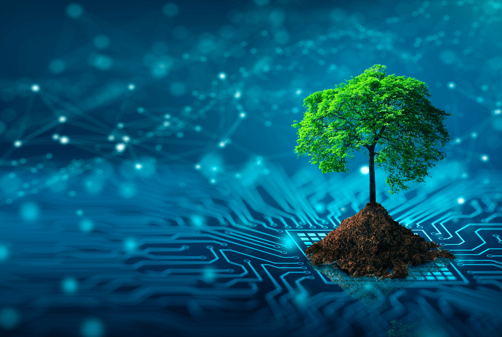 ¿Cómo aplicar las tecnologías verdes en el sistema empresarial? - artículo de GuruSoft