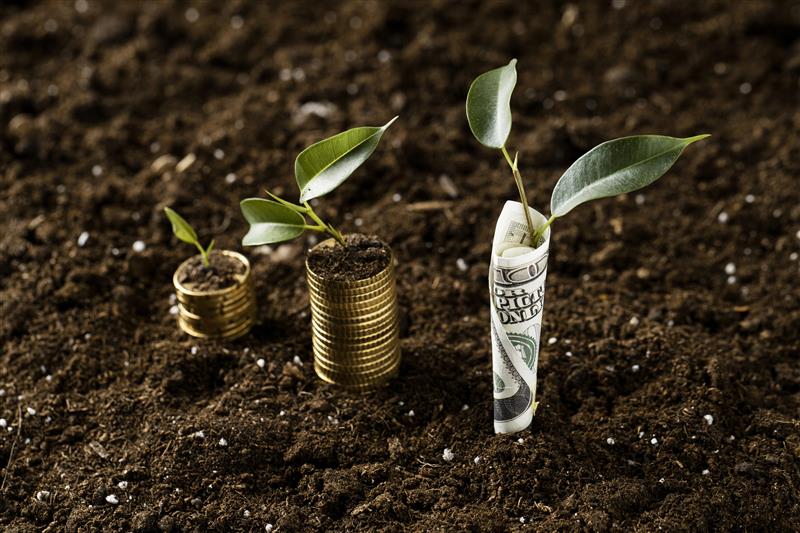5 pasos que debes conocer para que tus inversiones sean todo un éxito - artículo de GuruSoft